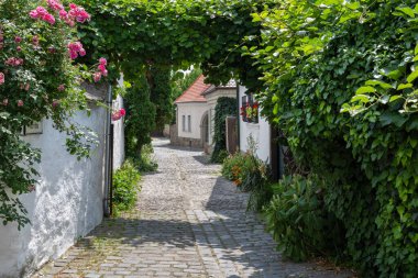 Narrow street in Szentendre in summer, Hungary