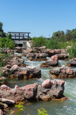 Macaristan, Asvanyraro 'daki Mosoni-Tuna Nehri' nden balıklar geçiyor.