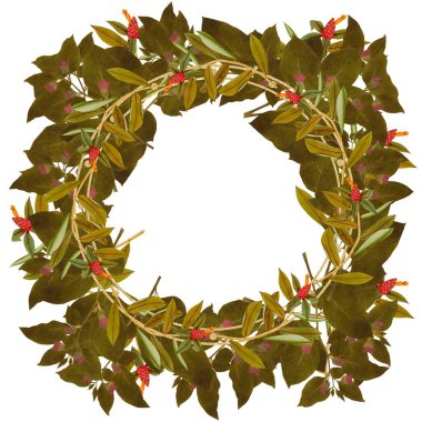   Beyaz arka planda eski bir çiçek çerçevesi. Klasik çiçekler. Güzel çiçek çerçevesi. Tropa belladonna