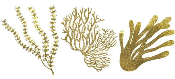 stock image set of golden sea plants on a white background