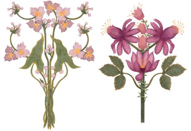   Beyaz arka planda bir dizi botanik çizim. Uzun saplı yeşil yapraklı pembe suluboya çiçekler.