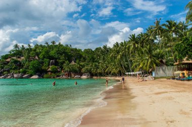Koh Tao plajı manzarası