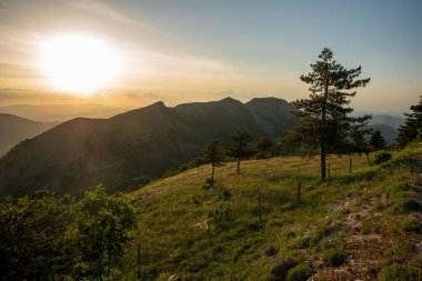 İtalya 'nın Marche bölgesinde Monte Nerone yamacındaki çayır manzarası