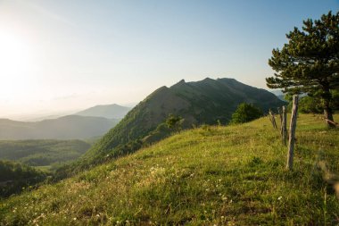 İtalya 'nın Marche bölgesinde Monte Nerone yamacındaki çayır manzarası