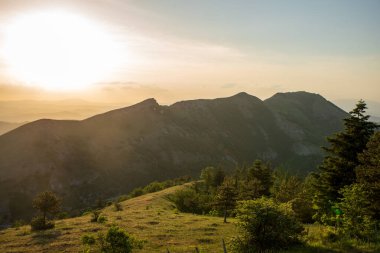 İtalya 'nın Marche bölgesinde Monte Nerone yamacındaki çayır manzarası