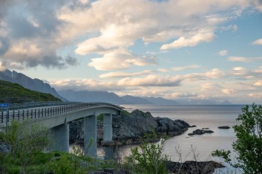 Norveç 'teki Lofoten adalarındaki yol manzarası