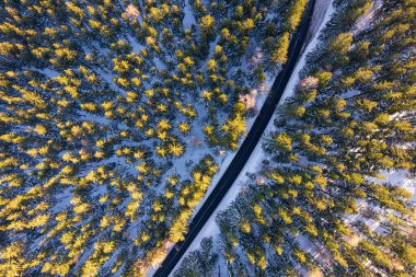 Karkonosze dağlarındaki dağ yolunun aşağı manzarası