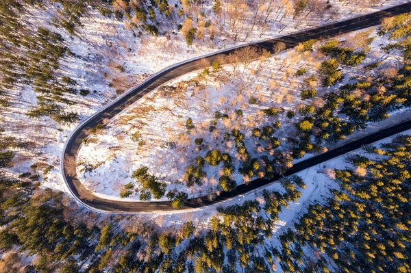 Karkonosze dağlarındaki dağ yolunun aşağı manzarası