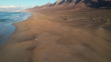Fuerteventura 'daki Coffee plajının hava manzarası.