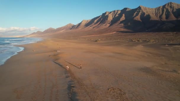 Aerial View Cofete Beach Fuerteventura — Stock Video