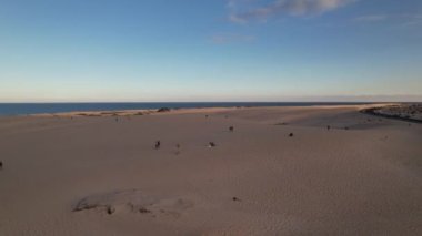 Fuerteventura 'daki kum tepelerindeki insanlar.