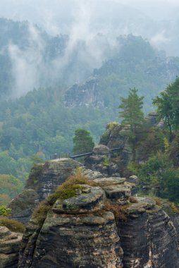 Almanya 'da Sakson İsviçre Parkı' ndaki Bastei manzarası
