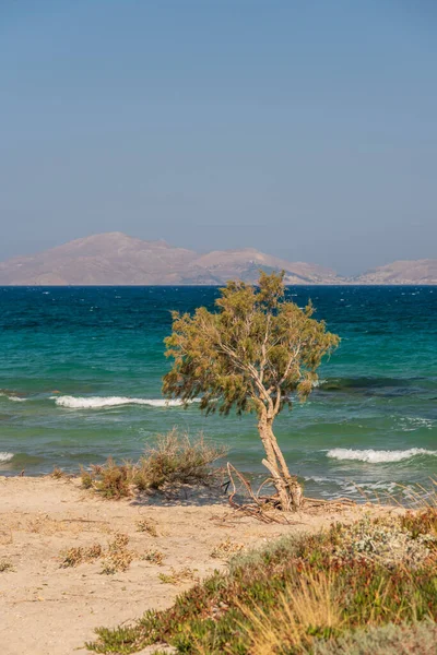 Yunanistan 'ın Kos adasındaki Marmari köyündeki plaj manzarası