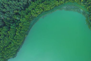 Yeşil su gölü kıyılarının havadan görünüşü