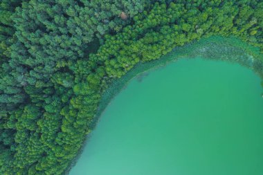 Yeşil su gölü kıyılarının havadan görünüşü
