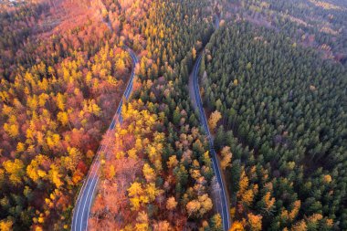 Polonya 'nın Szklarska Poreba kentindeki sonbahar orman yolunun hava manzarası