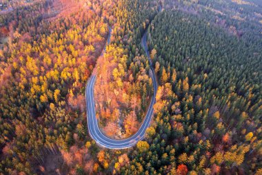Polonya 'nın Szklarska Poreba kentindeki sonbahar orman yolunun hava manzarası