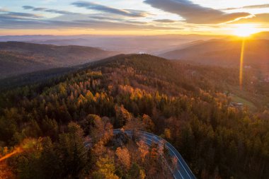 Polonya 'nın Szklarska Poreba kentindeki sonbahar orman yolunun hava manzarası
