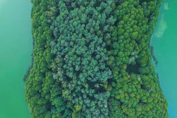 Yeşil su gölü kıyılarının havadan görünüşü