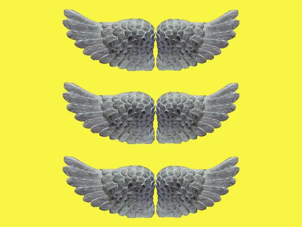 Renkli arka planda melek kanadı