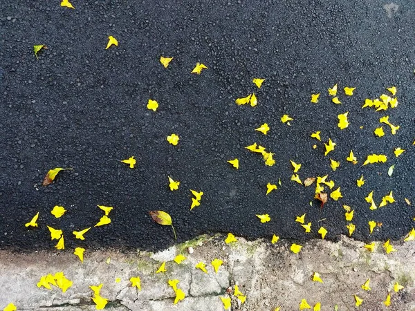 Sarı solmuş çiçekler ve asfalt bir yolda yapraklar