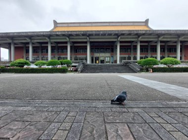 Taipei, Tayvan, 26 Şubat 2024: Güvercin Dr. Sun Yat Sen Memorial Hall önünde. 