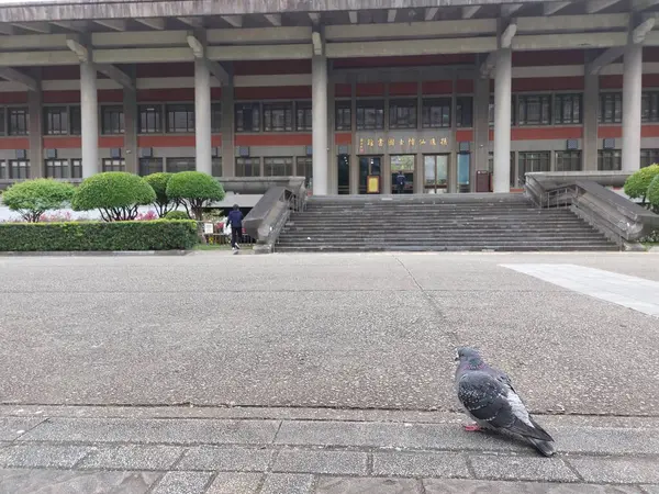 Taipei, Tayvan, 26 Şubat 2024: Güvercin Dr. Sun Yat Sen Memorial Hall önünde. 