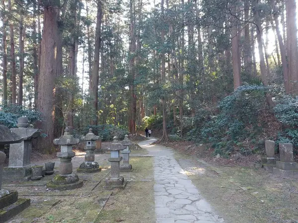 Büyük ağaçlarla çevrili antik Japon mezarlığı