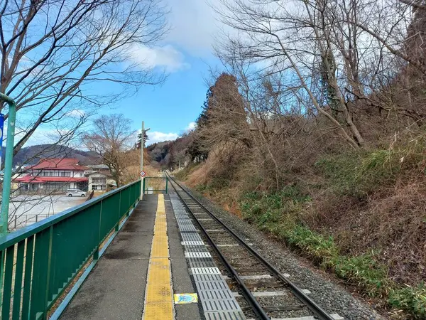 Rayların kenarında yapraksız ağaçlar olan küçük bir istasyondaki demiryolu manzarası