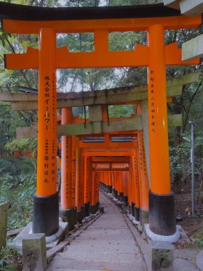 Kyoto, Japonya - Ekim: Japon geleneksel Kapısı, Fushimi Inari Tapınağı 'nın Torii kapısı