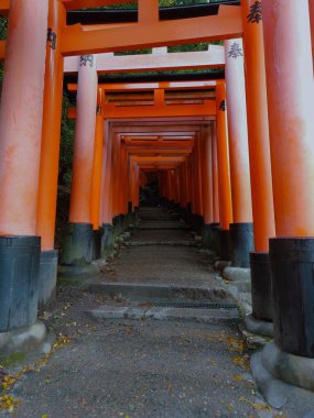 Kyoto, Japonya - 28 Ekim 2023: Japon geleneksel kapısı, Fushimi Inari Tapınağı 'nın Torii kapısı