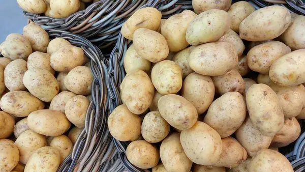 Sepetlerdeki taze patatesler, arka plandaki patates fotoğrafları.