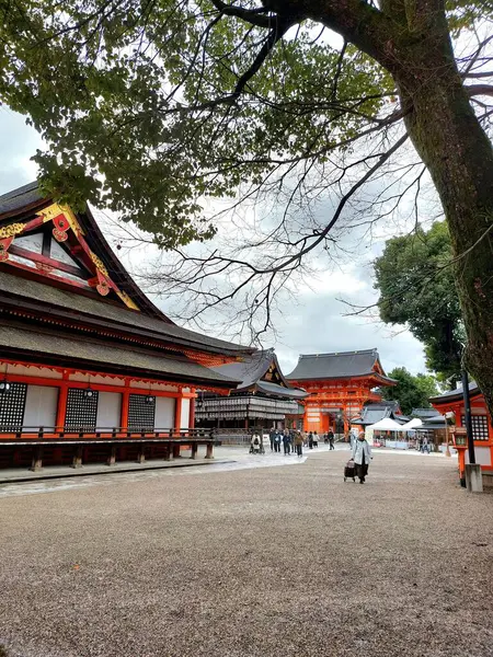 Kyoto, Japonya - 22 Şubat 2024: Yasaka-jinja Tapınağı kompleksi içindeki bir bölgenin görüntüsü