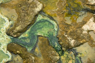 Yeşil tortulu sıcak maden suyu ile aşınmış taş.