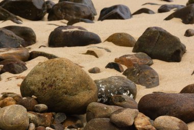 Kumlu, sarkık bir sahilde orta büyüklükte kayalar.