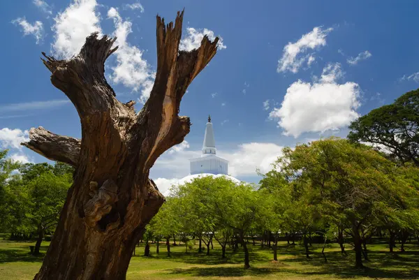 Ruwanwelisaya maha stupa, Budist anıtı, Anuradhapura, Sri Lanka