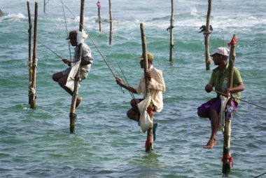 Weligama Körfezi bölgesinde geleneksel balık avı, Sri Lanka