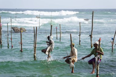 Weligama Körfezi bölgesinde geleneksel balık avı, Sri Lanka