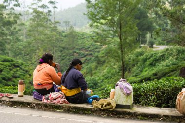 Çaydanlıklar çay molası veriyor, Sri Lanka kırsalında.