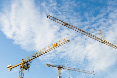 Bir yaz gökyüzü üzerinde ağaç uzun boylu sarı İnşaat vinçleri