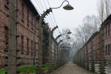 Auschwitz nazi toplama kampında dikenli tel çit
