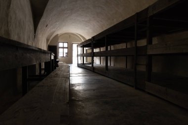 1940-1945 yılları arasında Nazi rejimine muhalifler için Prag Gestapo hapishanesi olarak hizmet veren Küçük Kale 'deki toplu hapishane hücrelerinde tahta ranzalar. Terezin Anıtı
