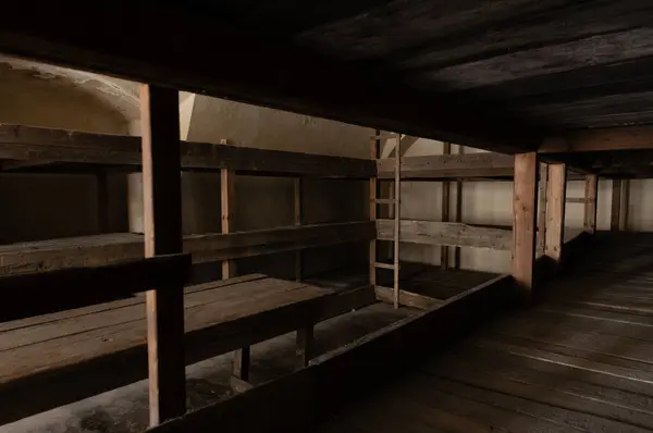 1940-1945 yılları arasında Nazi rejimine muhalifler için Prag Gestapo hapishanesi olarak hizmet veren Küçük Kale 'deki toplu hapishane hücrelerinde tahta ranzalar. Terezin Anıtı