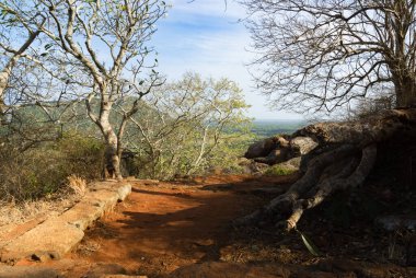 Tropik bir arazide toprak izi, Sri Lanka kırsalında