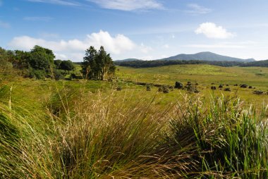 Horton ovaları Milli Parkı, sri lanka