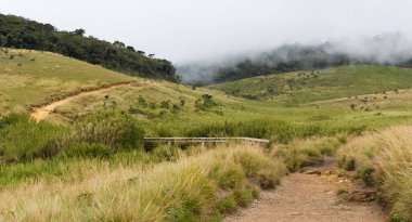 Horton ovaları Milli Parkı, sri lanka