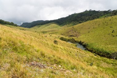 Horton ovaları Milli Parkı, sri lanka