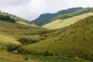 Horton ovaları Milli Parkı, sri lanka