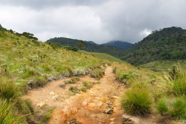 Horton ovaları Milli Parkı, sri lanka