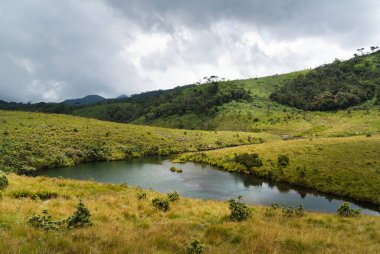 Horton ovaları Milli Parkı, sri lanka